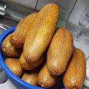 조롱박.오이 각2분 이미지