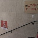 로뎀트리스파 이미지