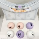 LG전자베스트샵 맞은편 교통섬-2 | LG전자 베스트샵 대전본점 신규 오픈! 고양이 공기청정기 추천!!