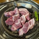 찬미돼지 이미지
