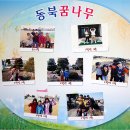 동북초등학교 이미지