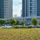 어진교차로 이미지