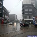 차와 함께 세계여행 이미지