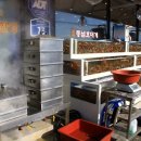 동남호대게 이미지