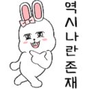 더샤이컴퍼니