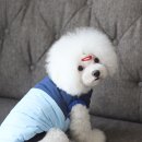 스텔라&amp;샤론&amp;미르 디투에이치 후기^^