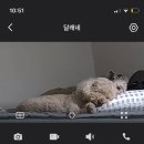 고 성