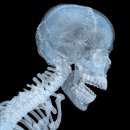 낭낭이네 이미지