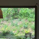 잔원유림 이미지