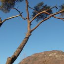 청도의 아침 이미지