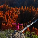 장태산휴양림 이미지