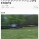 김밥세상 이미지