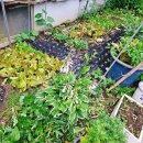 만덕별장 이미지