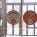 펫라운지(PET LOUNGE) 이미지