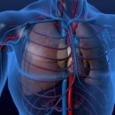 성신사우나 이미지