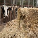 아름목장 이미지