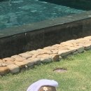 미아시장 이미지