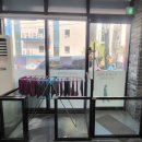 다사랑 애견 이미지