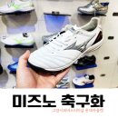 게스롯데고양터미널아울렛 | 발볼 넓은 나, 롯데 아울렛 고양터미널점 미즈노 방문 후기