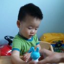 블루웨일잉글리시영어교습소 | 블루래빗 잉글리시 터치톡 구매 후기
