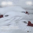 아트스페이스사이로 이미지