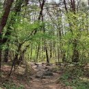 오서산 상담주차장 비상급수시설 | 오서산 등산코스 (상담주차장~정암사~1600계단~오서산전망대~오서산(광천)~오서산(정상)~쉰질바위...