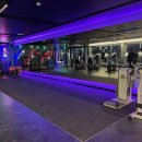 핏불 피트니스 이미지