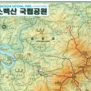 송월타올서면