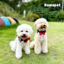 봄봄의뜰유치원 이미지