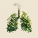 생활과건강약국 이미지