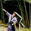 삼각도 이미지