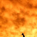 포스코 INTL. 송도 이미지