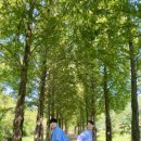 큰맘할매순대국 영월남면점 이미지