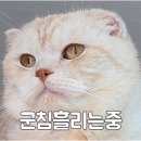 은우식당