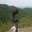 비목 티스토리