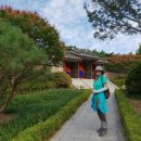 서리풀길 9 이미지