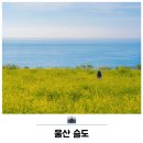 울산 슬도(유채꽃) 이미지