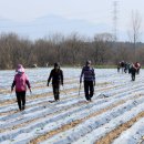 의령남강 이미지