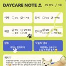 21그램 케어센터 합정점 | 마포 강아지 유치원, 합정역 독투독 데이케어 후기