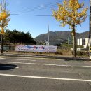 뽑기GO | 가을 주말 나들이 추천: 2025 경주 안심사어린이집 &#39;먹go~놀고go~사go~&#39; 현장 스케치