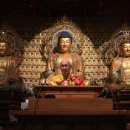 장엄하신 부처님전 앞에서 부처님의 가르침을 설하고계신 법안대사님 이미지
