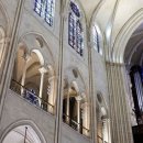 Le grand orgue de Notre-Dame de Paris, la "voix" de la cathédrale, fin prêt 이미지