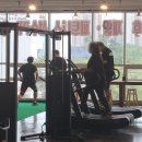 퍼팩트짐 이미지