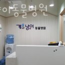 개와냥이동물병원 이미지