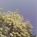 종희농장 | 해남마산초등학교 총동창회 참석 후기