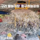 세븐일레븐 구리공원점 | 구리 물놀이장 동구하늘공원에서 시원한 여름보내기