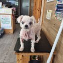 송정중앙로 이미지