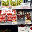 장보고농산물마트 | 대구 장보고 식자재 마트 반야월점, 식비 절약하는 대용량 가성비 장보기