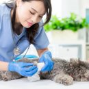 베이지동물병원 이미지