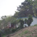 읍내공원 앞 이미지